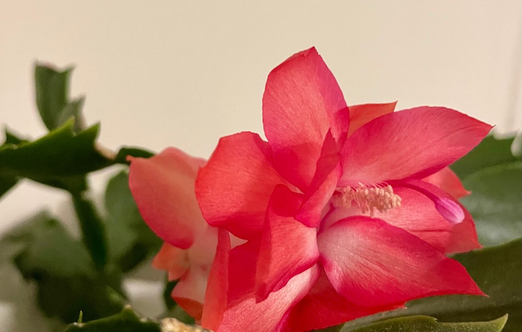 Let’s start at the&nbsp;beginning.