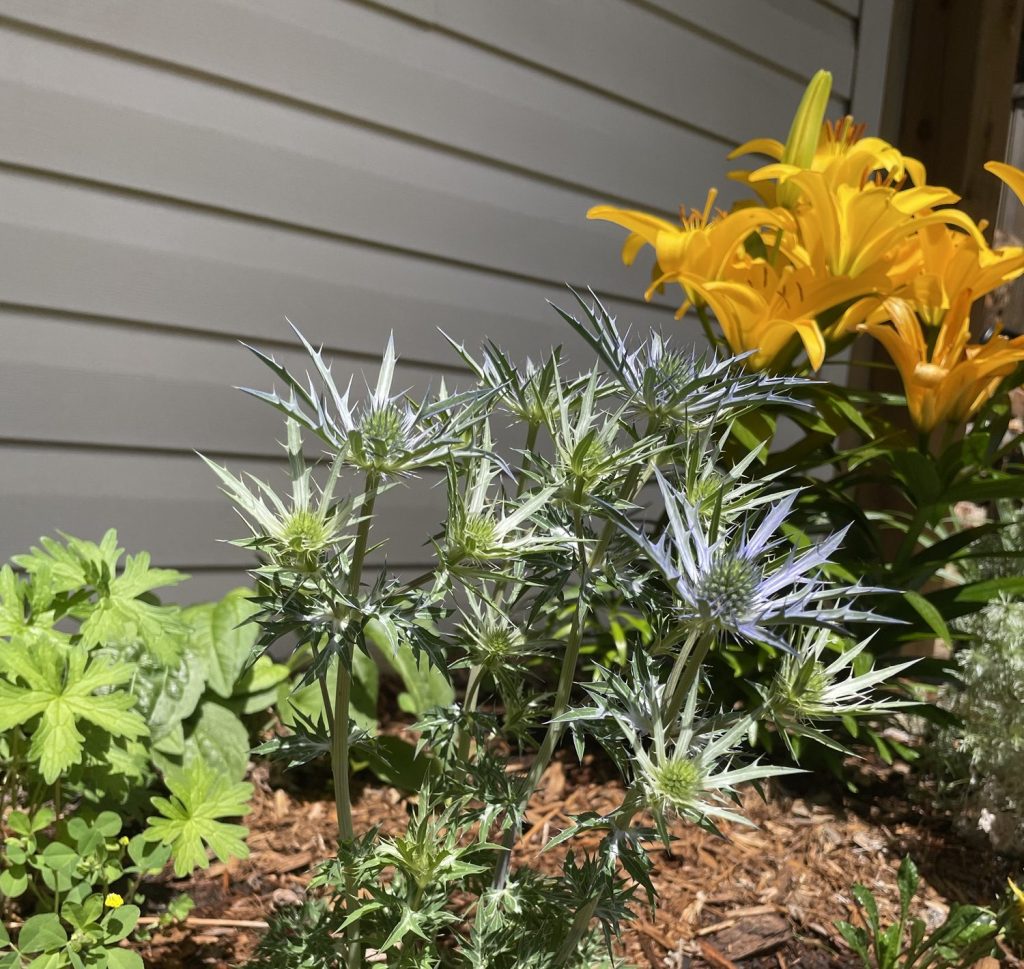 Spring Garden Planning in Calgary (Zone&nbsp;3)