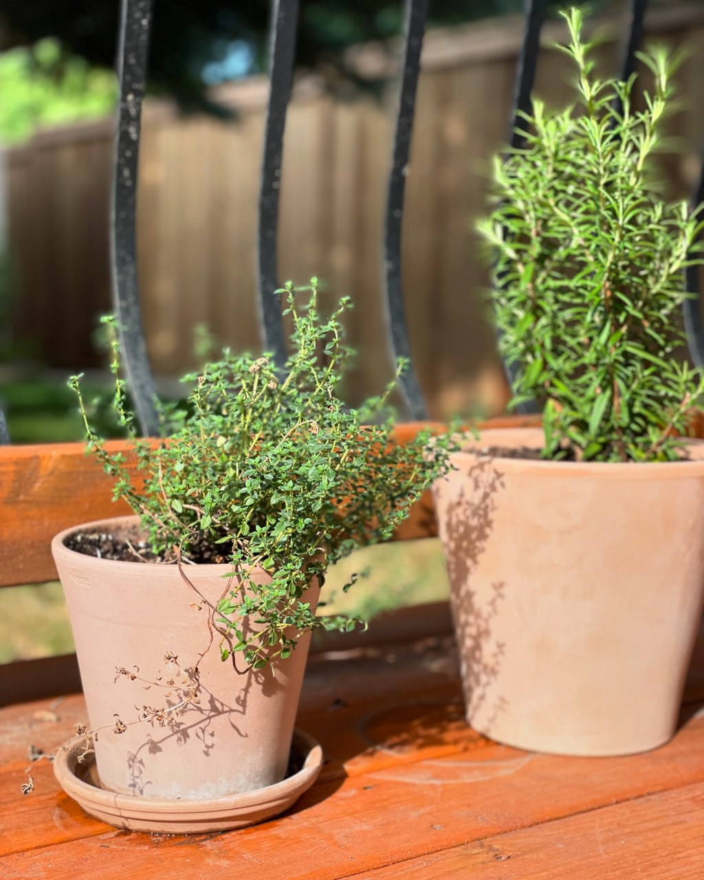 Parsley, Sage, Rosemary and Thyme: It’s so hard to say good&nbsp;bye