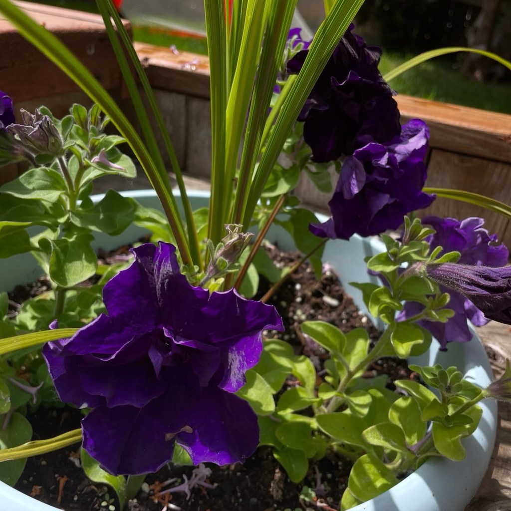 “I just want something I can’t&nbsp;kill.”